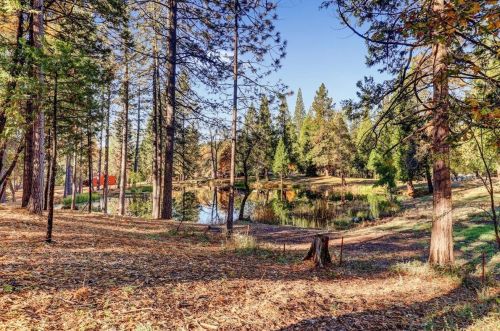 13943 Greenhorn Rd, Grass Valley CA  95945-8484 exterior