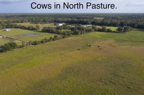 1080 Pell Rd, Osteen, FL 32764-8852