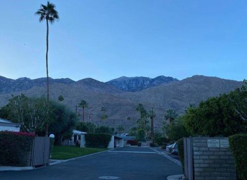 1150 Palm Canyon Dr, Palm Springs CA  92264-4402 exterior