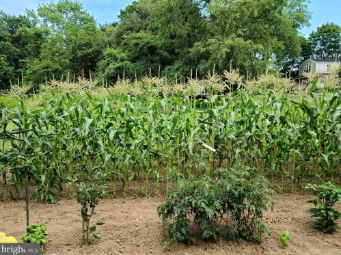 1139 Wilson Ave, Glen Mills PA  19342-9610 exterior