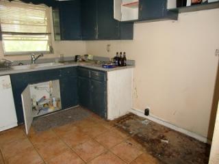 313 Alemander Ave, De Bary, FL 32713-3601