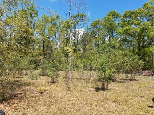 4452 Kimbell Rd, Greenwood, FL 32443-2407