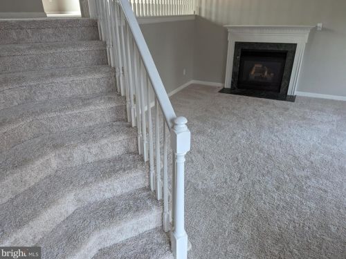 5503 Branch Rd, Fredericksburg, VA 22407-8736