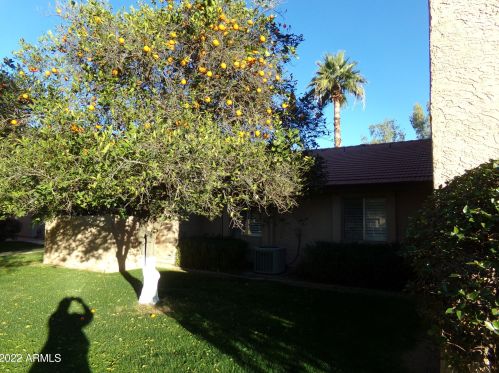 1942 Emerson, Mesa, AZ 85210-5980