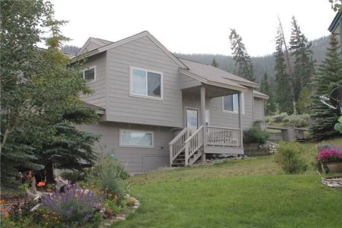 330 Meadow Wood Cir, Montezuma, CO 80435-8903