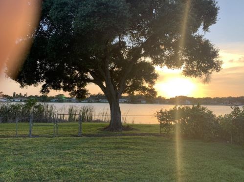 843 Patrick Dr, West Palm Beach FL  33406-4437 exterior