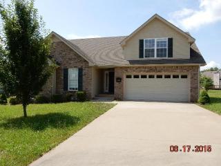 794 Ellie Nat Dr, Clarksville, TN 37040-5594