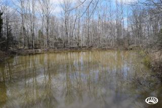 3925 Mount Eden Rd, Scottsburg, IN 47170-5281