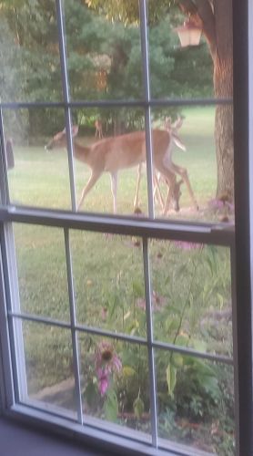 26718 Armstrong Rd, Laurelville OH  43135-9716 exterior