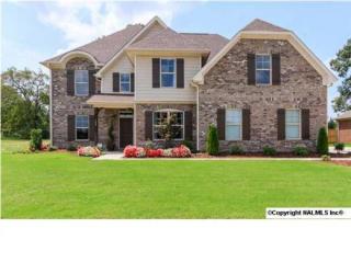 102 Ramsbrook Dr, Madison, AL 35757-6967