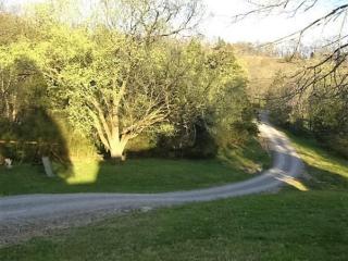 367 Bottle Hollow Rd, Shelbyville, TN 37160-6837