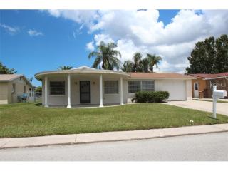 3753 Baden Dr, Tarpon Springs, FL 34691-3403