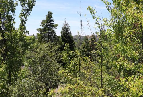 2951 Knollwood Dr, Shingle Springs CA 95682-9046 exterior