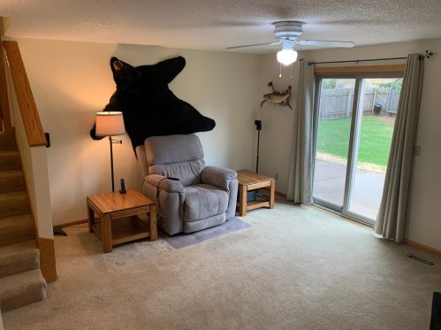 192 Ulmer Dr, Lino Lakes MN  55014-1200 exterior