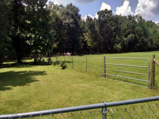 11119 225th Dr, Cross Creek, FL 32640-7623