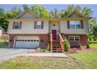 313 Chestnut Grove Church Rd, Jonesborough, TN 37659-4105