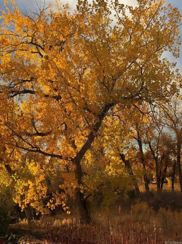 22391 Plymouth Cir, Denver CO  80016-2786 exterior