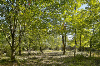 145 Rock Rd, West Amwell, NJ 08530-3111