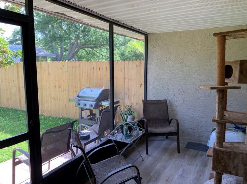 3343 Hibiscus Dr, Palm Harbor FL  34684-3428 exterior