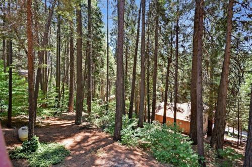 3626 Gold Ridge Trl, Pacific House CA  95726-9734 exterior