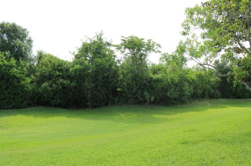 14144 Whitecap Ave, Port Richey FL  34667-8052 exterior