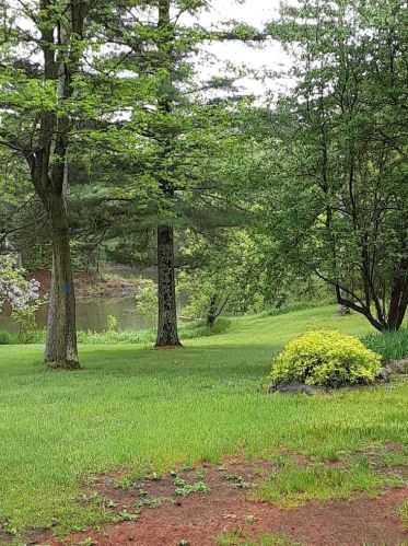 3358 65th St, Clam Falls, WI 54837-4800