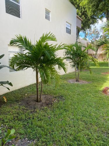 159 Piedmont D, Delray Beach, FL 33484-7959