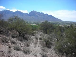 1060 Broken Stone Pl, Tucson, AZ 85737-8638