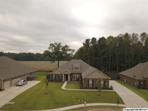 135 Chesnut Heath Ct, Madison, AL 35756-3977