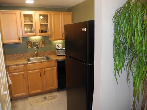 18717 Hamilton St, Lutz FL  33549-3820 exterior