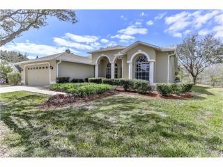 18517 Queen Brooks Ct, Port Richey, FL 34667-5559
