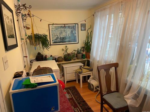 107-23 124th St, Jamaica, NY 11419-3306