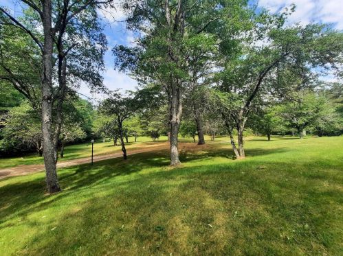 54 Orris Rd, Ellsworth NH  03285-6841 exterior
