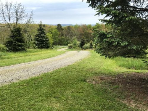 1807 Naulton Rd, Curwensville, PA 16833-7227