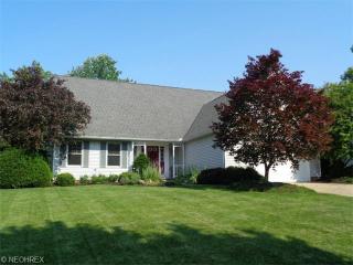 7119 Briarcliff Ct, Concord Township, OH 44060-6531