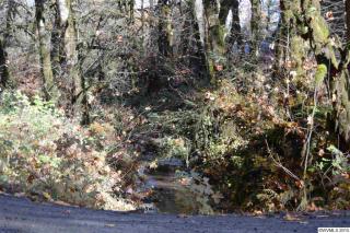 18795 Frost Rd, Dallas, OR 97338-9429