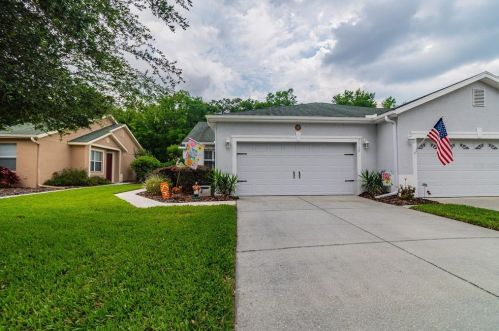 21138 Diamonte Dr, Land O Lakes, FL 34637-7544