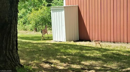 13375 Ranch Rd, Otsego MN  55330-8711 exterior