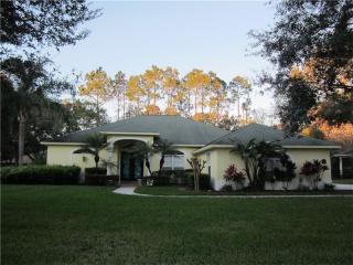 1524 Camphor Cove Dr, Lutz, FL 33549-5800