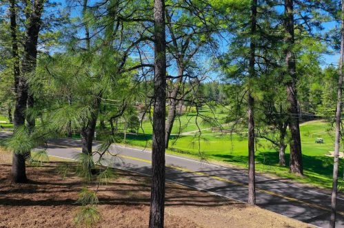 11933 Tammy Way, Grass Valley, CA 95949-6688