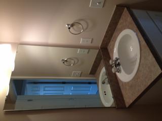 237 Stagone Ln, Lexington SC  29073-2100 exterior