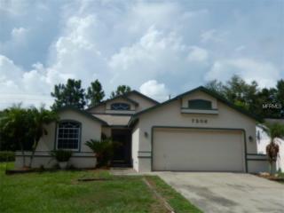 7206 Pebble Pass Loop, Lakeland, FL 33810-4891