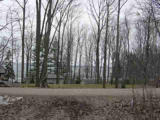 3543 Driftwood Ln, Peplin, WI 54455-7647