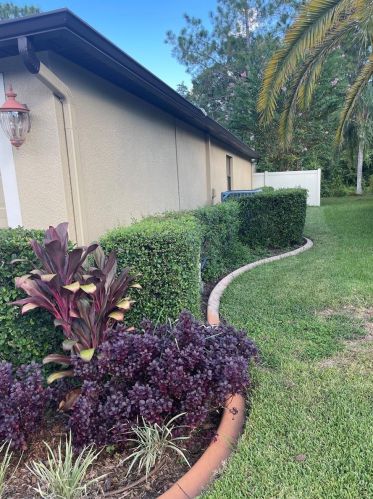 15408 Princewood Ln, Land O Lakes FL  34638-6873 exterior