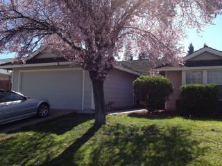 9050 Mirassou Ct, Sacramento, CA 95829-1254
