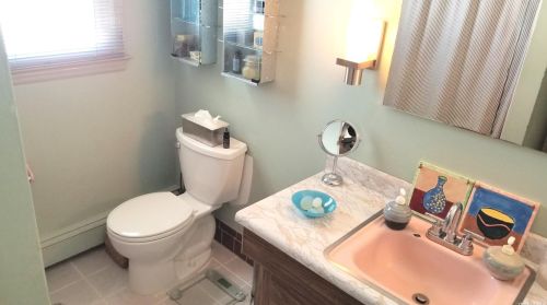 135 Iceland Dr, Huntington Station NY 11746-4231 exterior