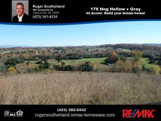 176 Hog Hollow Rd, Johnson City, TN 37615-2100