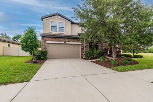 8440 Bluevine Sky Dr, Land O Lakes, FL 34637-7651