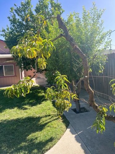 3643 Nevada Ave, Riverbank CA  95367-2913 exterior