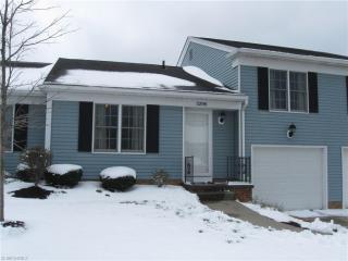 5296 Millcreek Blvd, Brunswick, OH 44212-1979